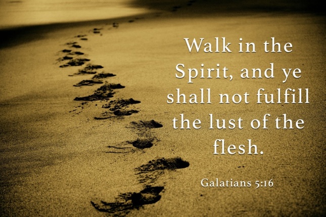 Image result for galatians 5:16